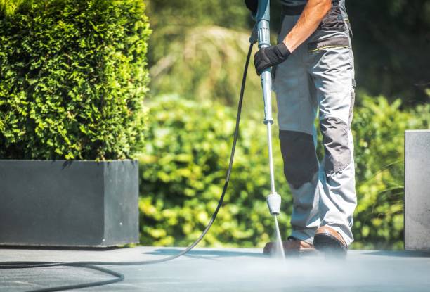 Best Window and Screen Pressure Cleaning in Tubac, AZ